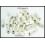 5x Hill Tribe Silver Jewelry Supplies Wholesale Tube Beads [KB061]