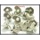3x Hill Tribe Silver Charms Wholesale Flower Jewelry Findings [KC038]
