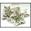1x Flower Pendant Jewelry Supplies Wholesale Hill Tribe Silver [KC019]