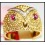 Gorgeous Owl Solid 18K Yellow Gold with Ruby and Diamond Ring [RF0030]