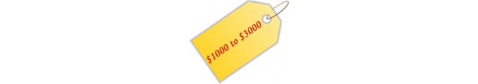 From $1000 to $3000