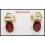 Stunning Diamond Stud Ruby Gemstone Earrings 18K Yellow Gold [E0032]