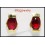 18K Yellow Gold Exclusive Stud Gemstone Ruby Earrings [E0034]