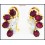 Genuine 18K Yellow Gold Diamond Gemstone Ruby Earrings [E0053]