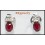 Stud Gemstone Genuine Diamond 18K White Gold Ruby Earrings [E0031]