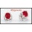 18K White Gold Gemstone Stud Ruby Exclusive Earrings [E0033]