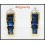 Blue Sapphire 18K Yellow Gold Exclusive Diamond Earrings [E0005]
