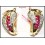 Gemstone Clip-On 14K Yellow Gold Snake Ruby Earrings [E_105]