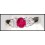 18K White Gold Diamond and Oval Ruby Solitaire Ring [RS0073]